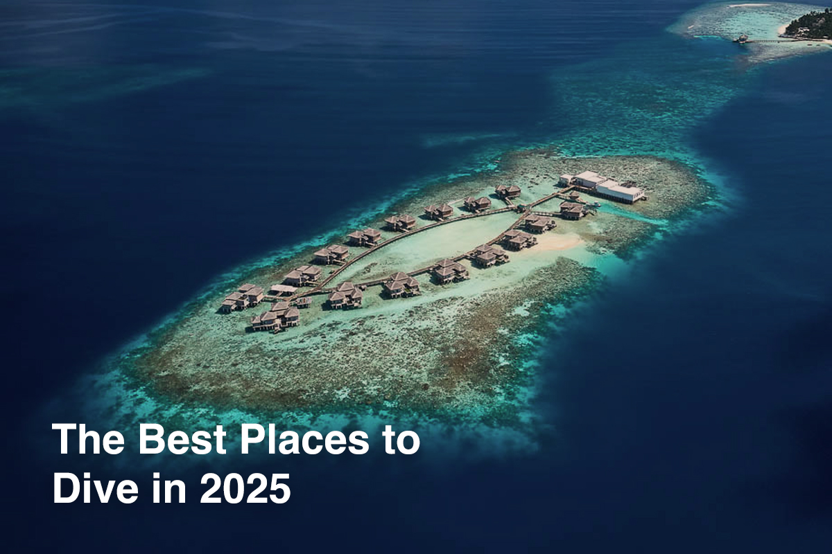 The Best Places to Dive in 2025