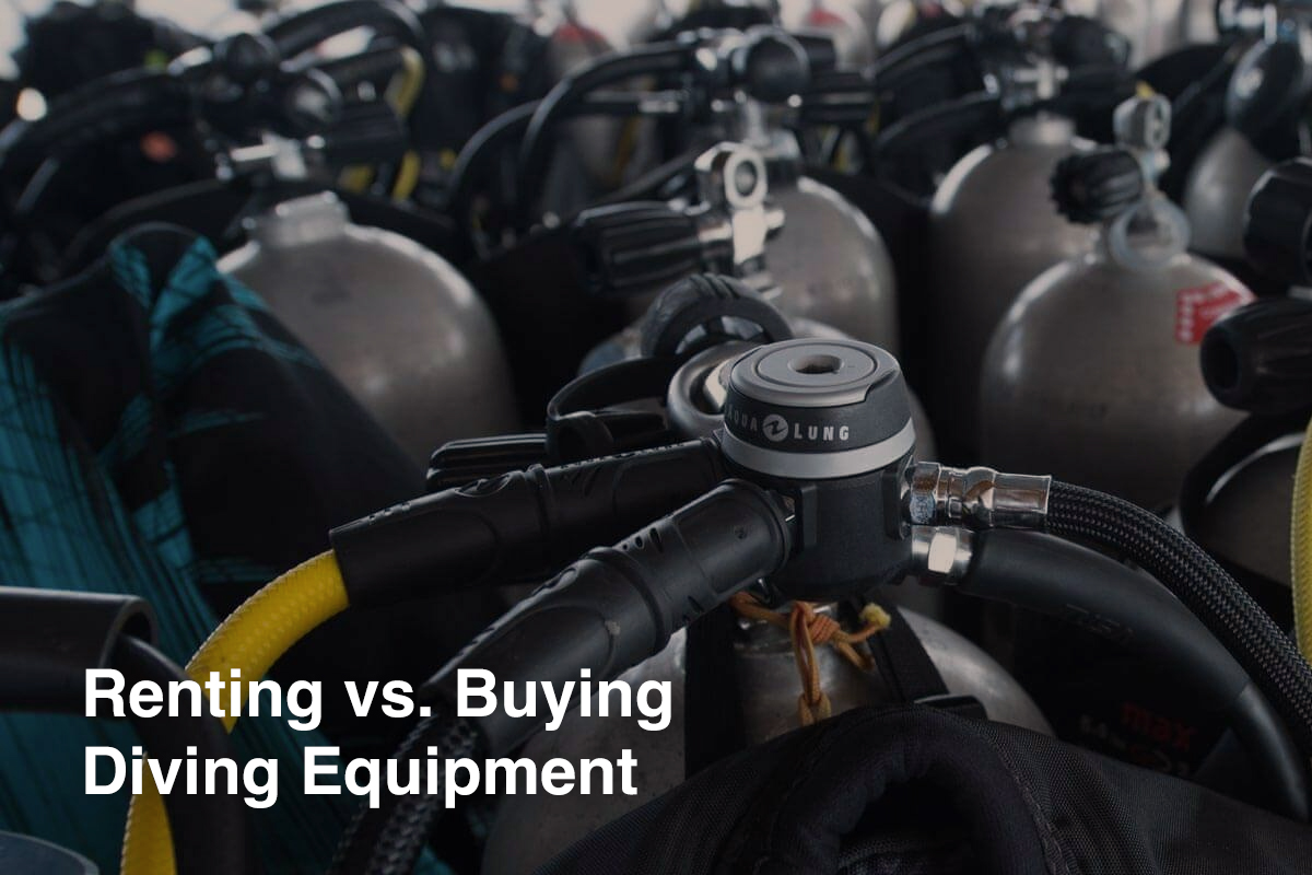 Renting vs. Buying Diving Equipment