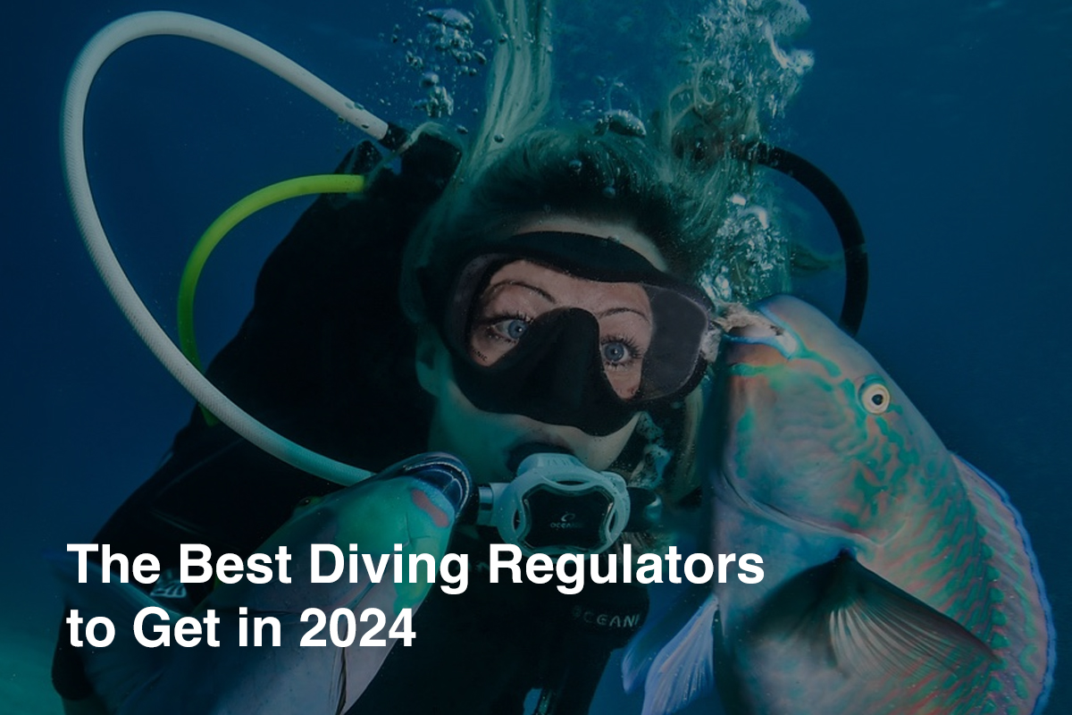 The Best Diving Regulators to Get in 2024
