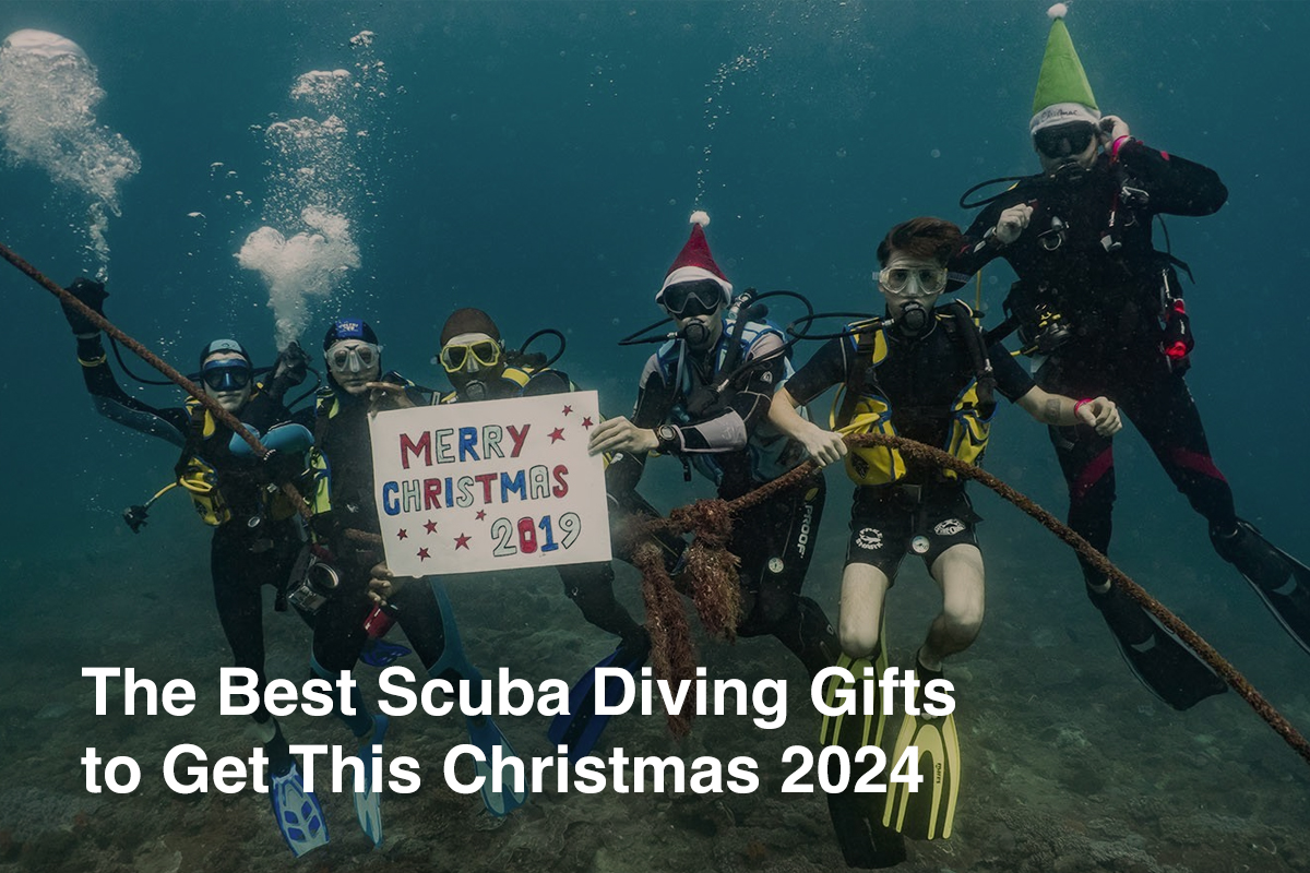 The Best Scuba Diving Gifts to Get This Christmas 2024