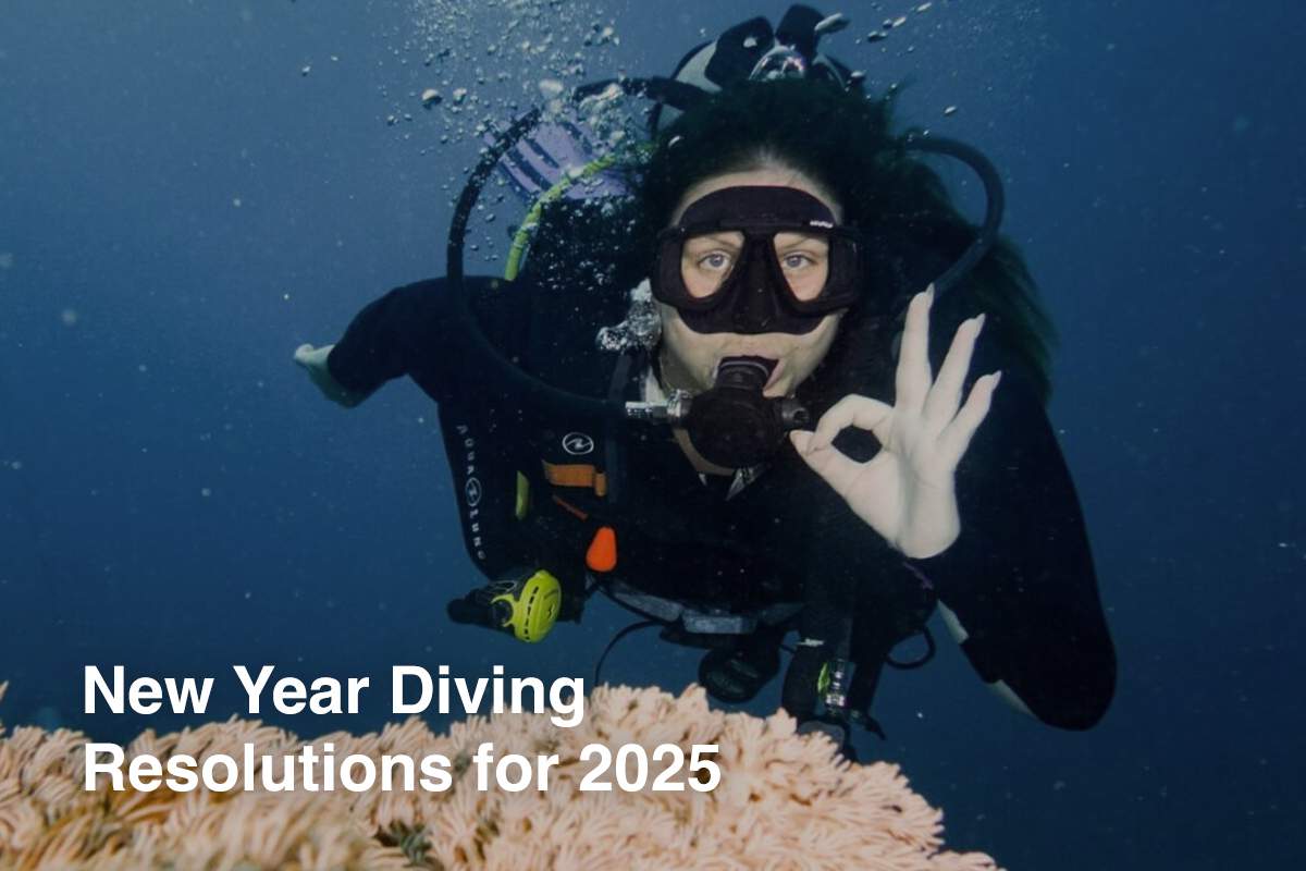 New Year Diving Resolutions for 2025