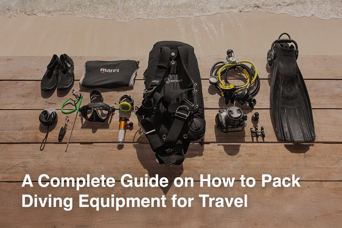 A Complete Guide on How to Pack Diving Equipment for Travel