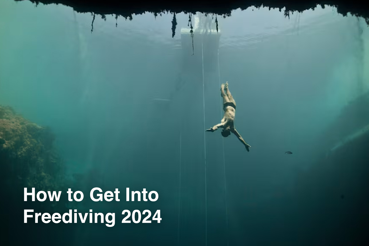 How to Get Into Freediving 2024